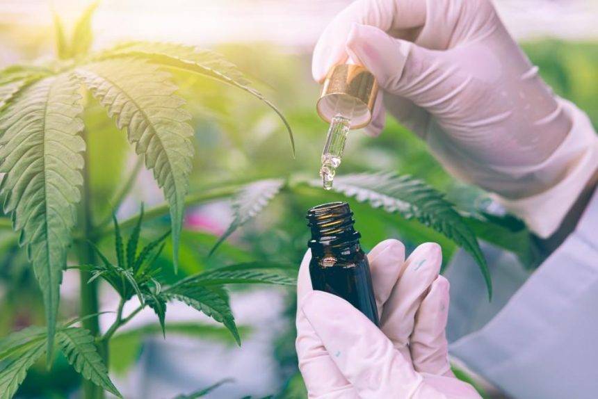 How To Find The Best Medical Marijuanas Dispensary In Texas TCC how-to-find-the-best-medical-marijuanas-dispensary-in-texas-tcc